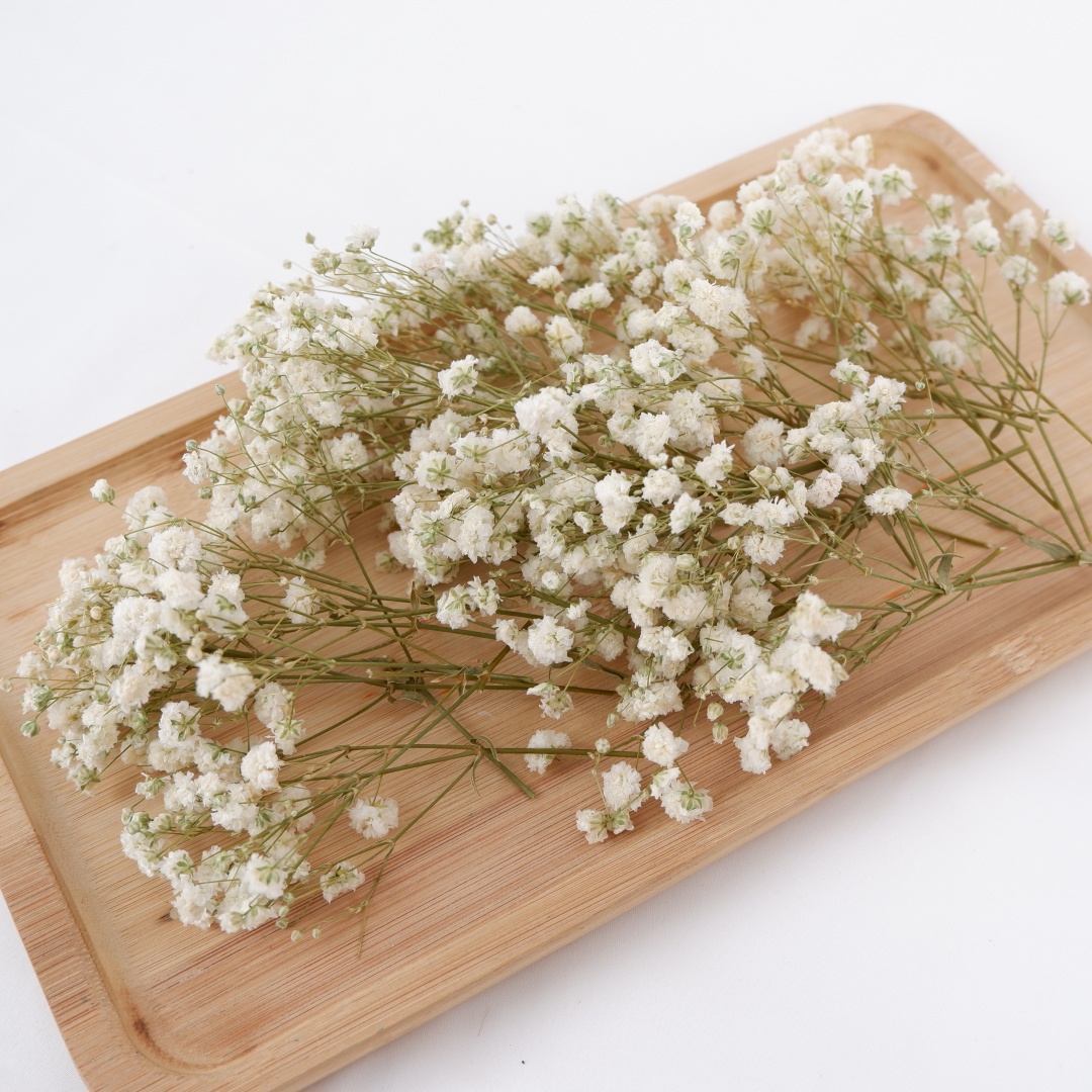 Dried Flowers White Mini Dried - Home Decor Vase With Flowers recension och pris