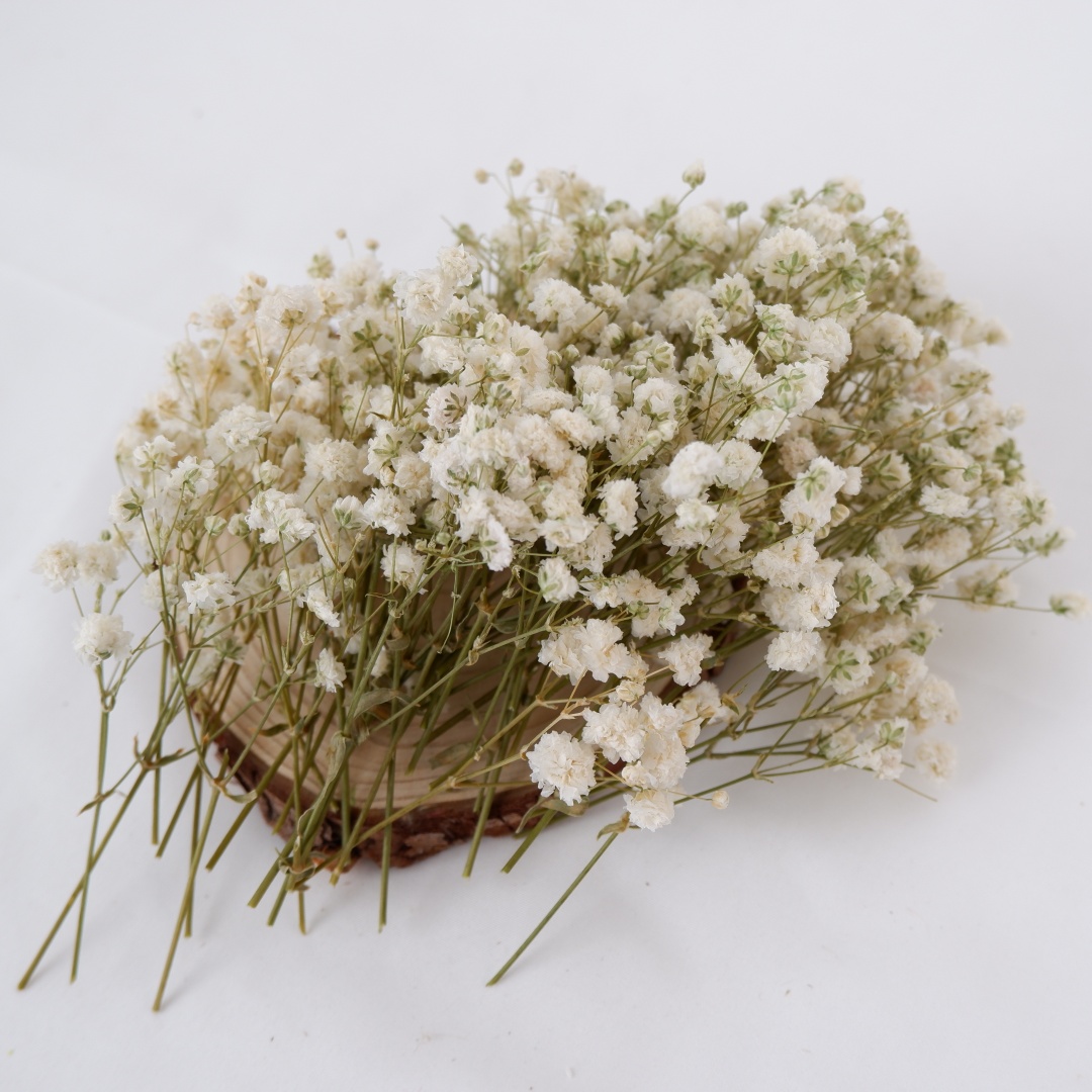 Dried Flowers White Mini Dried - Home Decor Vase With Flowers recension och pris