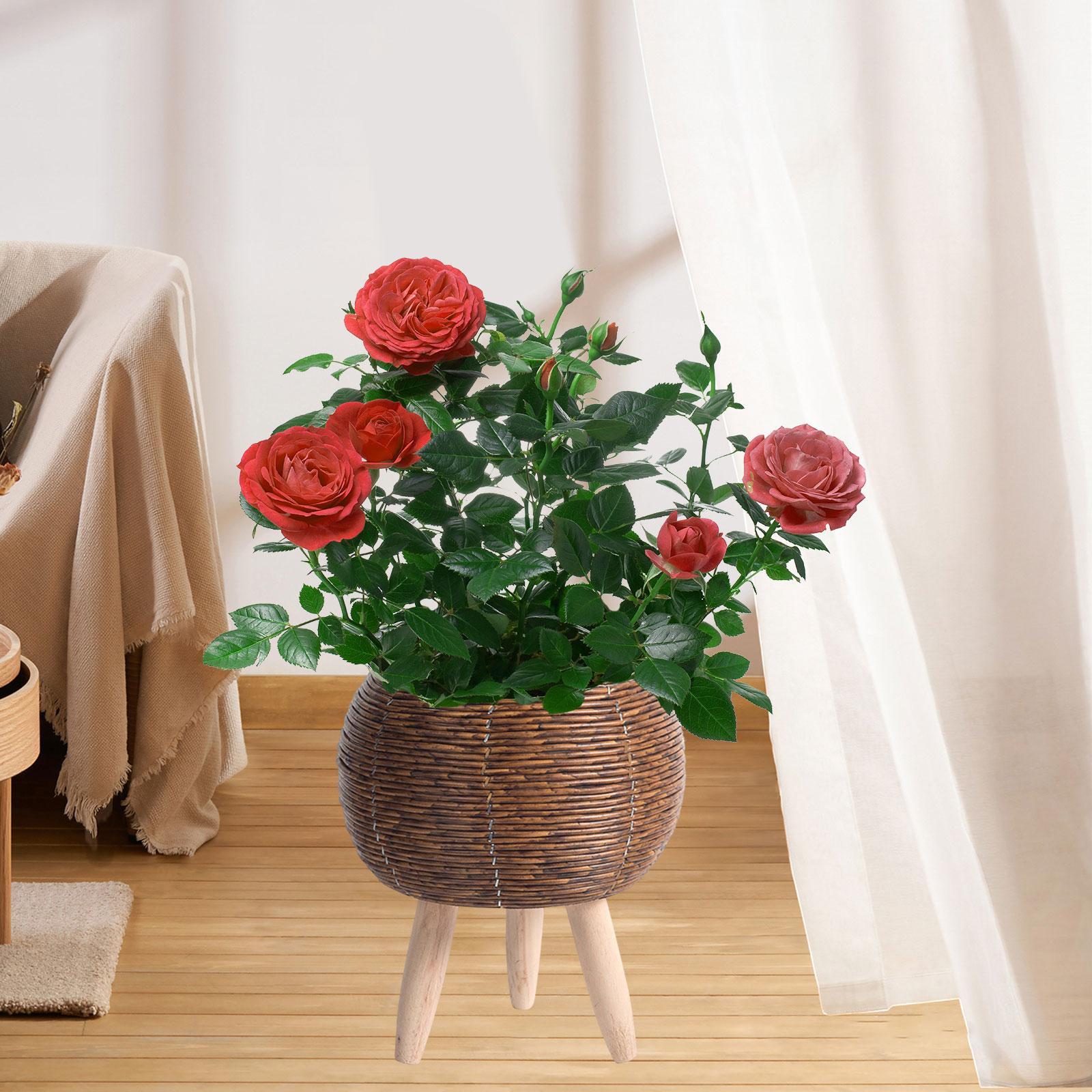 Woven Basket with Stand Indoor - Home Decor Rattan recension och pris