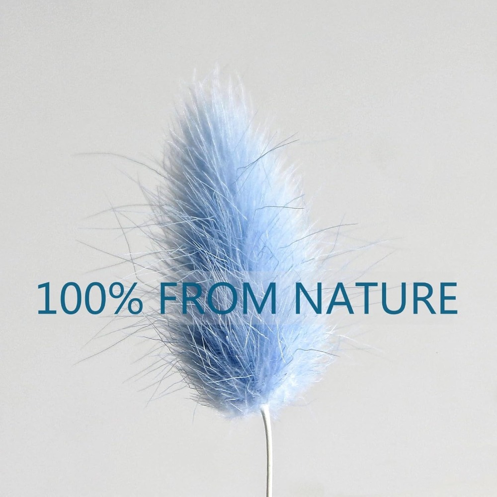 100PCS Blue Hare's-tail Grass  - Home Decor Vase With Flowers recension och pris